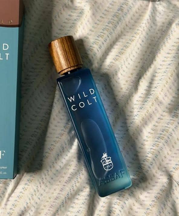 WhatsApp Image 2024-09-19 at 18.56.57_89dd5e67